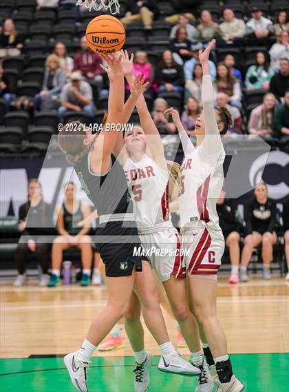 Thumbnail 2 in Green Canyon vs. Cedar (UHSAA 4A Quarterfinal) photogallery.