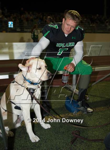 Thumbnail 1 in Upland's Luke Van Ginkel and his serivce dog Astro photogallery.