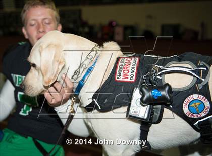 Thumbnail 2 in Upland's Luke Van Ginkel and his serivce dog Astro photogallery.