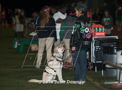 Thumbnail 3 in Upland's Luke Van Ginkel and his serivce dog Astro photogallery.