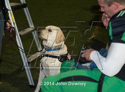 Thumbnail 2 in Upland's Luke Van Ginkel and his serivce dog Astro photogallery.