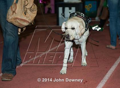 Thumbnail 1 in Upland's Luke Van Ginkel and his serivce dog Astro photogallery.