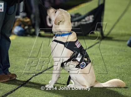 Thumbnail 2 in Upland's Luke Van Ginkel and his serivce dog Astro photogallery.