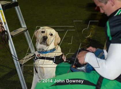 Thumbnail 3 in Upland's Luke Van Ginkel and his serivce dog Astro photogallery.