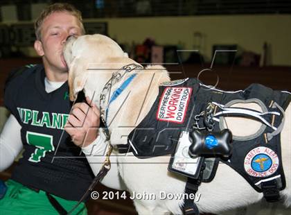 Thumbnail 3 in Upland's Luke Van Ginkel and his serivce dog Astro photogallery.