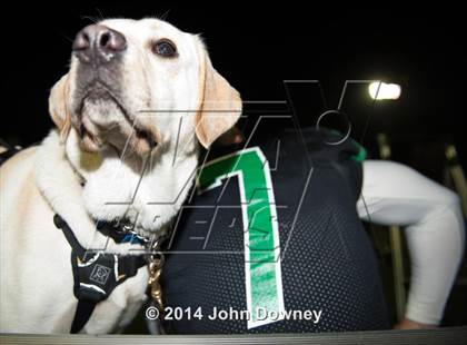 Thumbnail 1 in Upland's Luke Van Ginkel and his serivce dog Astro photogallery.