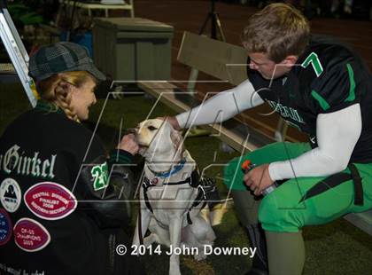 Thumbnail 2 in Upland's Luke Van Ginkel and his serivce dog Astro photogallery.