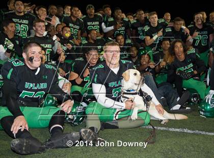Thumbnail 2 in Upland's Luke Van Ginkel and his serivce dog Astro photogallery.