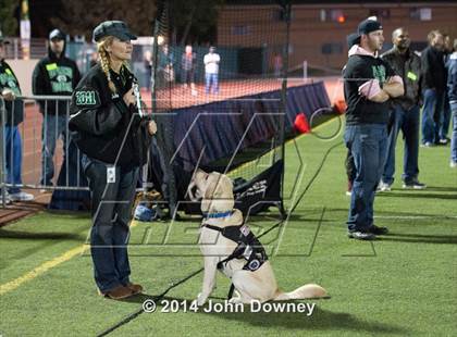 Thumbnail 3 in Upland's Luke Van Ginkel and his serivce dog Astro photogallery.