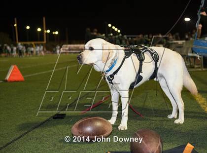 Thumbnail 3 in Upland's Luke Van Ginkel and his serivce dog Astro photogallery.