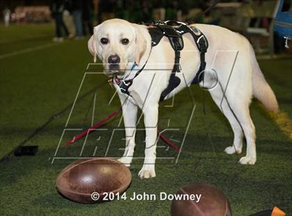 Thumbnail 2 in Upland's Luke Van Ginkel and his serivce dog Astro photogallery.