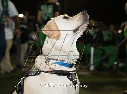 Thumbnail 3 in Upland's Luke Van Ginkel and his serivce dog Astro photogallery.
