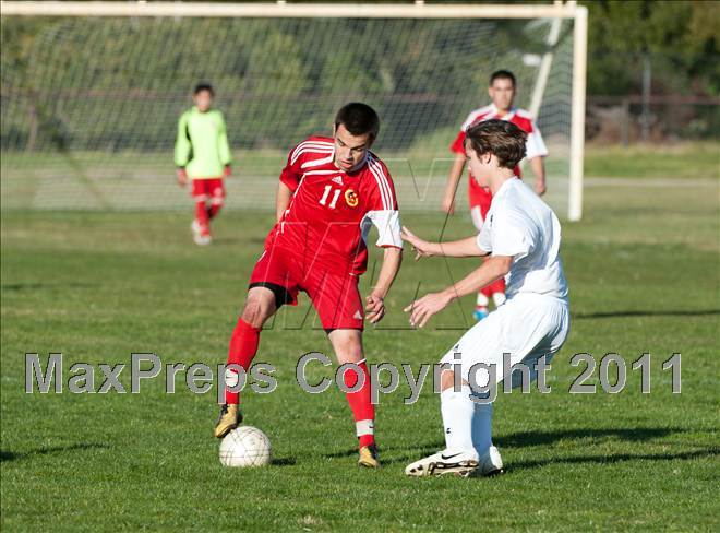 null - Photo 21