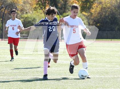 Thumbnail 1 in Amesbury @ Triton Regional photogallery.