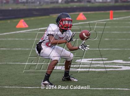 Thumbnail 3 in Yelm @ Timberline photogallery.