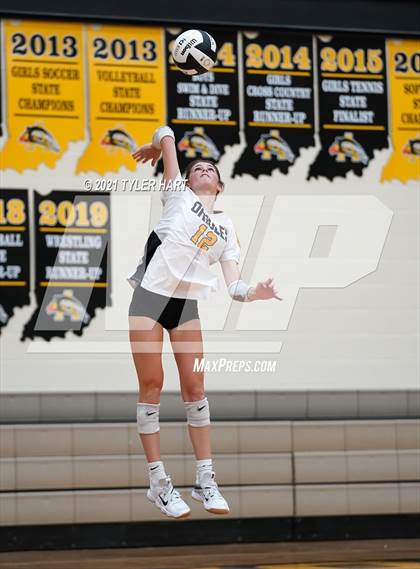 Thumbnail 1 in Hamilton Southeastern @ Avon photogallery.