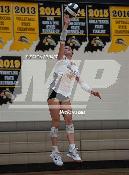 Thumbnail 2 in Hamilton Southeastern @ Avon photogallery.