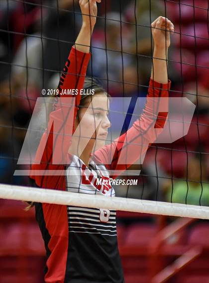 Thumbnail 2 in Lorena vs. China Spring photogallery.