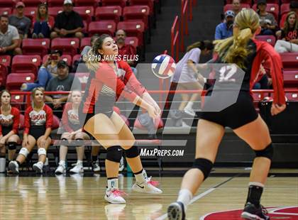Thumbnail 1 in Lorena vs. China Spring photogallery.