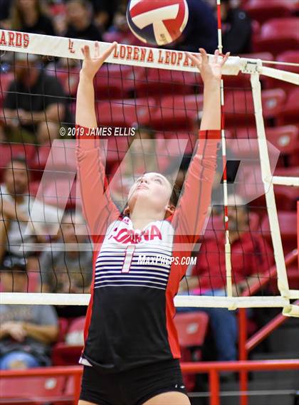 Thumbnail 3 in Lorena vs. China Spring photogallery.