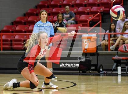 Thumbnail 3 in Lorena vs. China Spring photogallery.