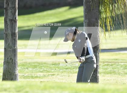 Thumbnail 2 in CIF State Girls Golf Finals photogallery.