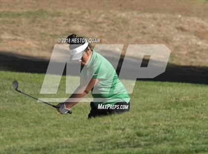 Thumbnail 2 in CIF State Girls Golf Finals photogallery.