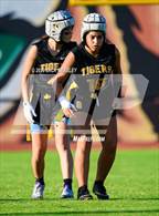 Photo from the gallery "Skyline @ Gilbert"