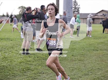 Thumbnail 1 in Wildcat Classic Invitational photogallery.