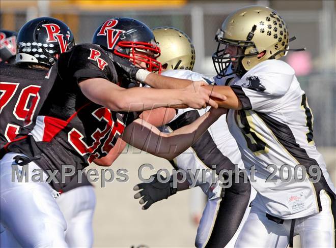 null - Photo 41