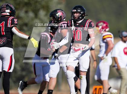 Thumbnail 3 in Brush @ Elizabeth (CHSAA 2A Quarterfinal) photogallery.