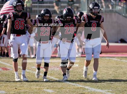 Thumbnail 1 in Brush @ Elizabeth (CHSAA 2A Quarterfinal) photogallery.