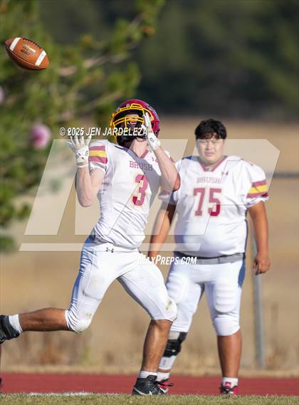 Thumbnail 1 in Brush @ Elizabeth (CHSAA 2A Quarterfinal) photogallery.