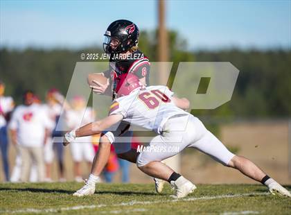 Thumbnail 1 in Brush @ Elizabeth (CHSAA 2A Quarterfinal) photogallery.