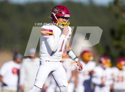 Thumbnail 1 in Brush @ Elizabeth (CHSAA 2A Quarterfinal) photogallery.