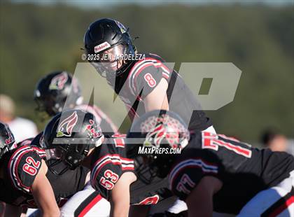 Thumbnail 2 in Brush @ Elizabeth (CHSAA 2A Quarterfinal) photogallery.