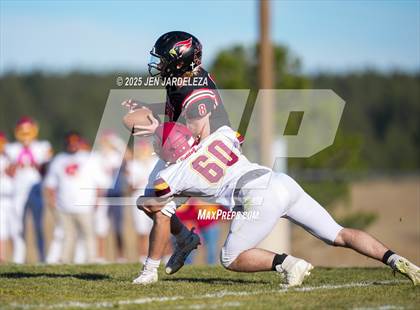 Thumbnail 3 in Brush @ Elizabeth (CHSAA 2A Quarterfinal) photogallery.