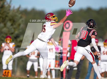 Thumbnail 3 in Brush @ Elizabeth (CHSAA 2A Quarterfinal) photogallery.