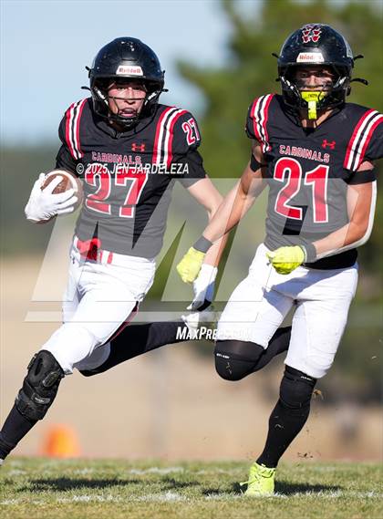 Thumbnail 1 in Brush @ Elizabeth (CHSAA 2A Quarterfinal) photogallery.