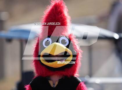 Thumbnail 1 in Brush @ Elizabeth (CHSAA 2A Quarterfinal) photogallery.