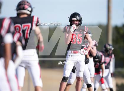 Thumbnail 1 in Brush @ Elizabeth (CHSAA 2A Quarterfinal) photogallery.