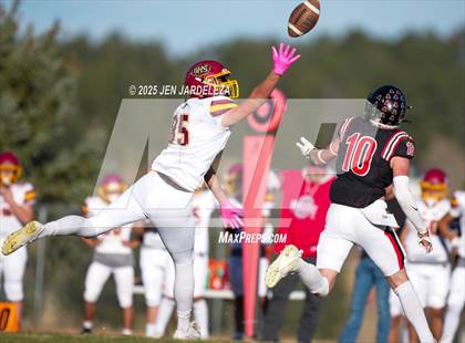 Thumbnail 1 in Brush @ Elizabeth (CHSAA 2A Quarterfinal) photogallery.