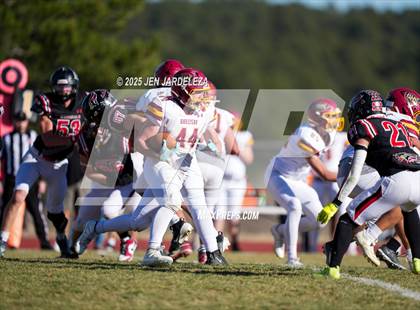 Thumbnail 3 in Brush @ Elizabeth (CHSAA 2A Quarterfinal) photogallery.