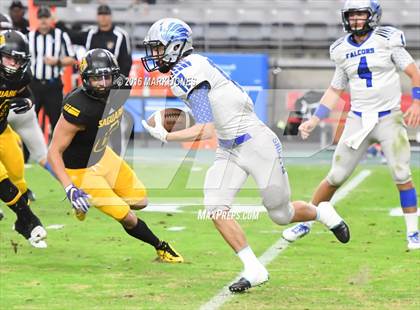 Thumbnail 3 in Saguaro vs. Catalina Foothills (AIA 4A Final) photogallery.