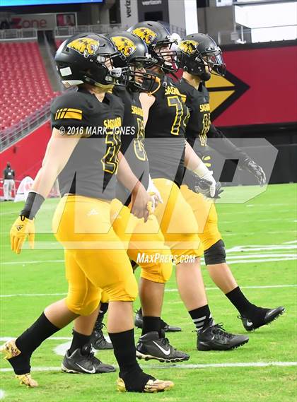Thumbnail 1 in Saguaro vs. Catalina Foothills (AIA 4A Final) photogallery.