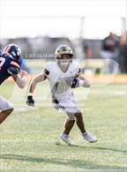 Photo from the gallery "Davis @ Brighton"