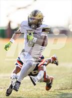 Photo from the gallery "Davis @ Brighton"