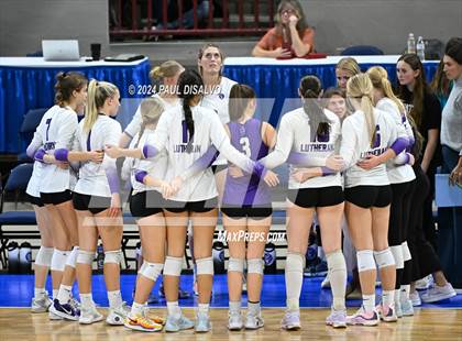Thumbnail 2 in Thompson Valley vs. Lutheran (CHSAA 4A State Final) photogallery.