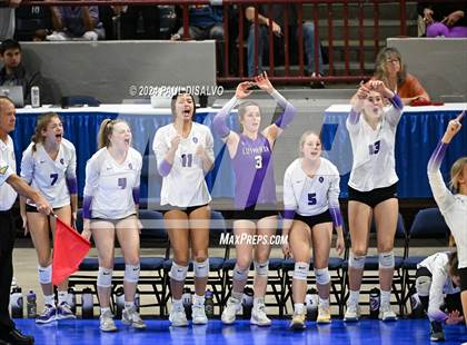 Thumbnail 2 in Thompson Valley vs. Lutheran (CHSAA 4A State Final) photogallery.