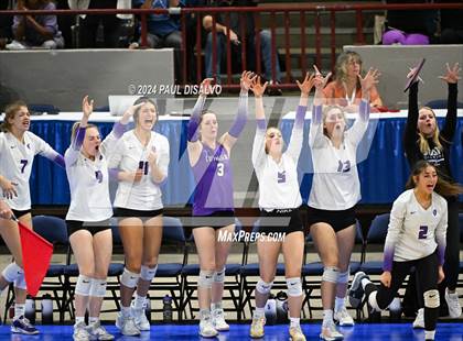 Thumbnail 3 in Thompson Valley vs. Lutheran (CHSAA 4A State Final) photogallery.